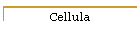 Cellula
