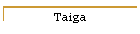 Taiga